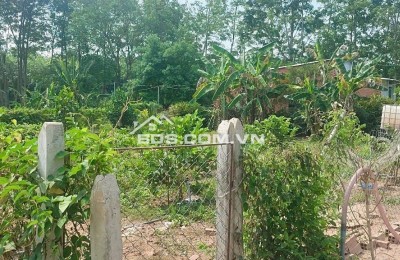 Cần bán gấp lô đất 508m² có thổ cư tại xã Trừ Văn Thố, Bàu Bàng, Bình Dương Giá 680 triệu