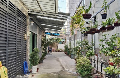 BÁN NHÀ HẺM NGUYỄN PHÚC CHU – PHƯỜNG TÂN SƠN – TP.HCM