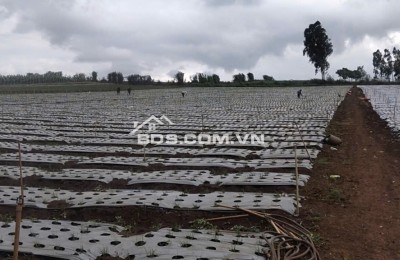 Chính chủ bán 13.000m² đất Tu Tra – Đơn Dương, vị trí đẹp, 2 mặt đường bê tông
