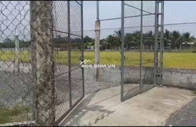 Bán Nhà Vườn 12.000m2, Giá 29.5 Tỷ, Kênh 12, Xã Lê Minh Xuân Bình Chánh