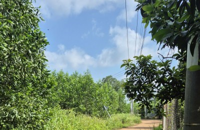 NGÂN HÀNG THANH LÝ TÀI SẢN NGAY SÂN BAY LONG THÀNH GIẢM MẠNH