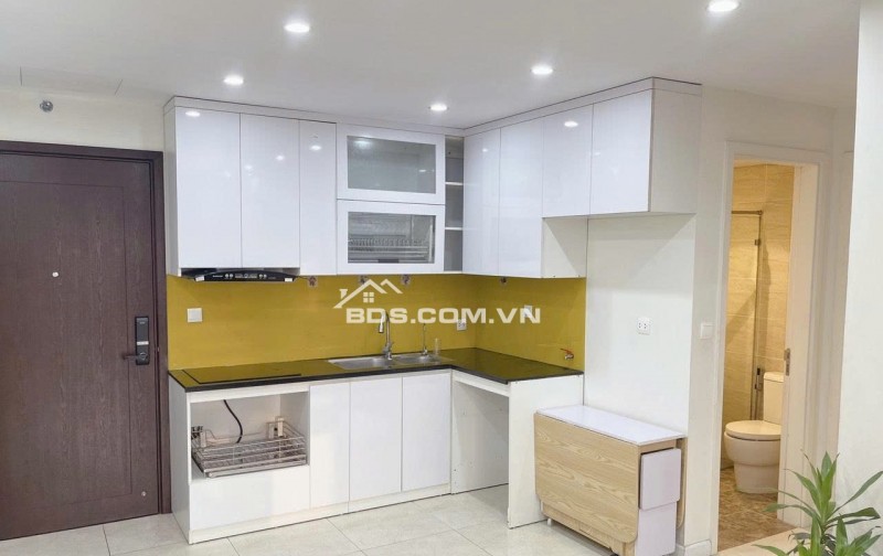 16,5tr thuê 1N+1 Vinhomes D'Capitale 52m² - sẵn chỗ làm việc