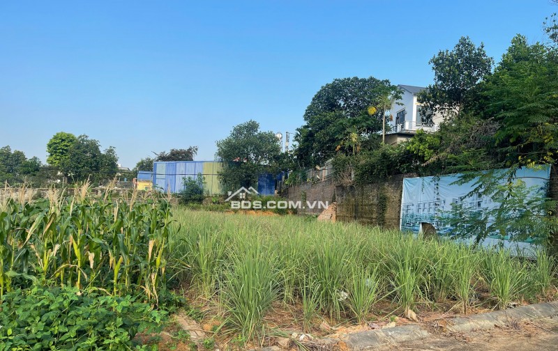 BÁN ĐẤT LÕI TRUNG TÂM PHÚ CÁT – 108,1M² FULL THỔ CƯ – SẴN SỔ