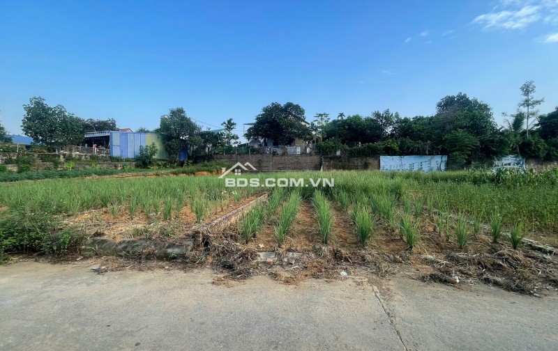 BÁN ĐẤT LÕI TRUNG TÂM PHÚ CÁT – 108,1M² FULL THỔ CƯ – SẴN SỔ