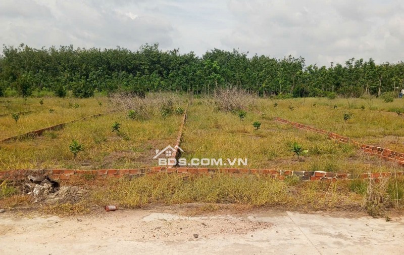 Bán 2 lô đất ở Thôn 7 Long Bình,Bù Gia Mập, Xã Phú Riềng, Tỉnh Đồng Nai