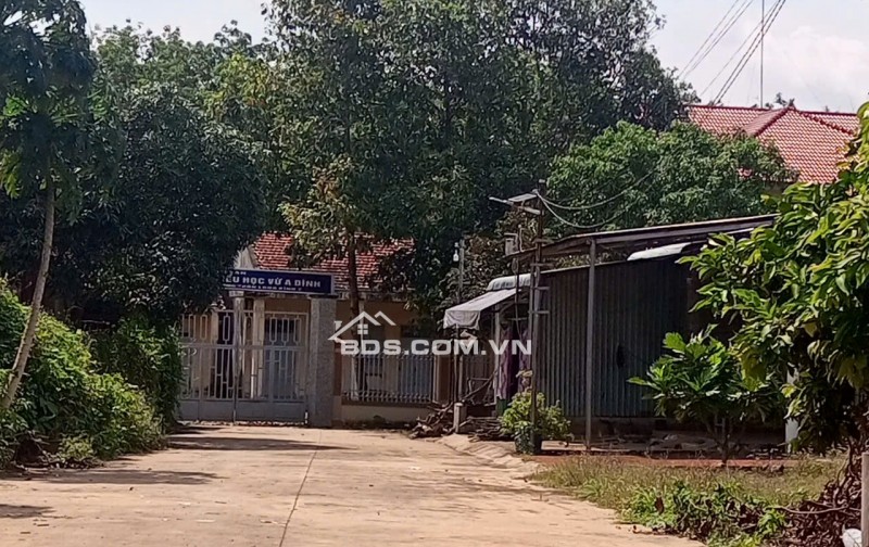Bán 2 lô đất ở Thôn 7 Long Bình,Bù Gia Mập, Xã Phú Riềng, Tỉnh Đồng Nai