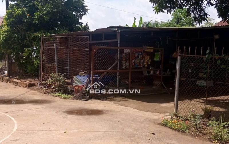 Bán 2 lô đất ở Thôn 7 Long Bình,Bù Gia Mập, Xã Phú Riềng, Tỉnh Đồng Nai