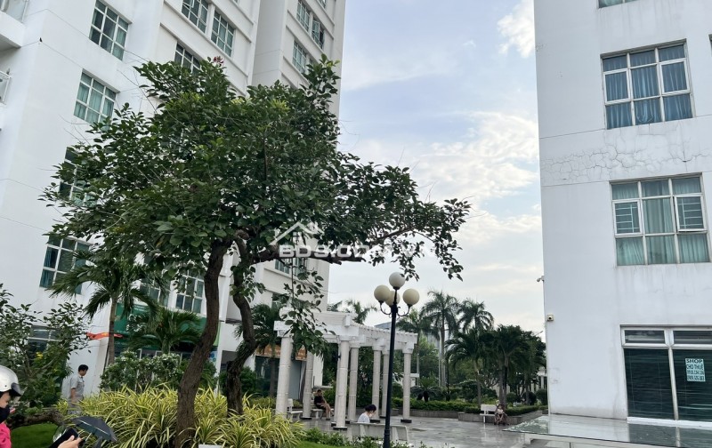 Cho thuê shophouse Hoàng Anh Thanh Bình giá 28T/tháng