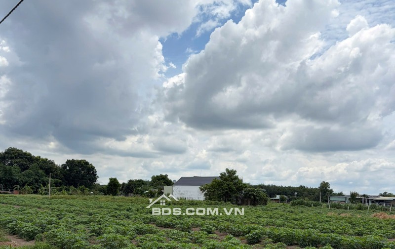 đất héc 1,8 hec bán 190tr .1000m2 gần khu ccoongf nghiệp
