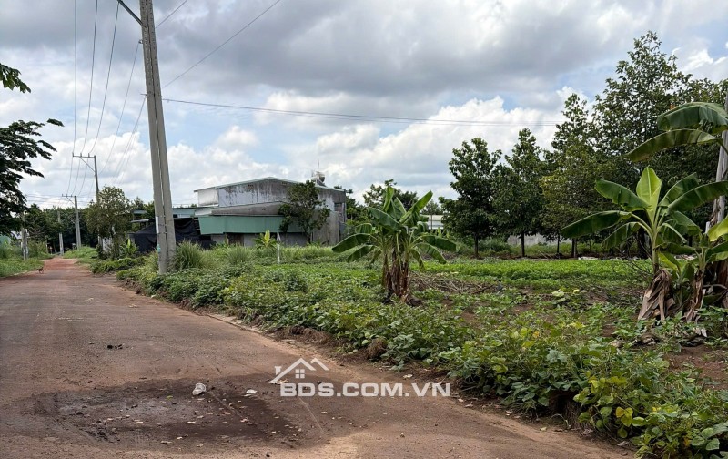 đất héc 1,8 hec bán 190tr .1000m2 gần khu ccoongf nghiệp