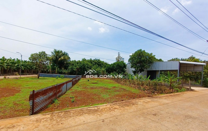TÔI CHÍNH CHỦ CẦN TIỀN BÁN ĐẤT FULL THỔ CƯ PHÁT LÝ SẠCH GIÁ 775 TRIỆU CÓ THƯƠNG LƯỢNG