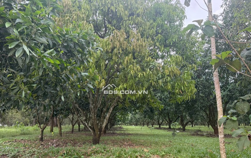 Bán Đất Nền Gia Kiệm, Thống Nhất – Mặt Tiền Quy Hoạch Giao Thông Lớn – Giá Chỉ 2 Tỷ 4