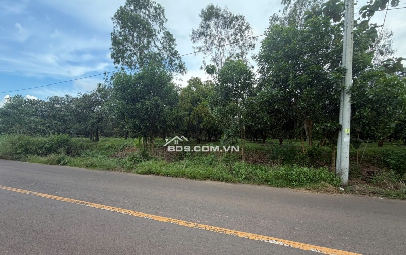Bán Đất Nền Gia Kiệm, Thống Nhất – Mặt Tiền Quy Hoạch Giao Thông Lớn – Giá Chỉ 2 Tỷ 4
