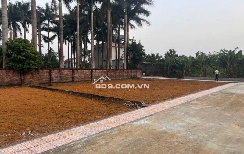 SĂN ĐẤT HÒA LẠC – 100M² NỞ HẬU, SÁT TRỤC DH09 PHÚ CÁT!