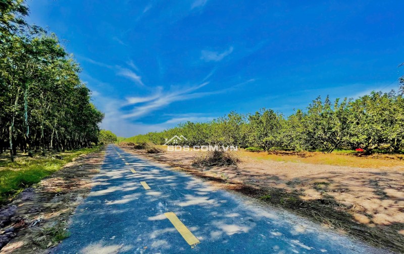Bán đất 500m2 tại Trừ Văn Thố, 870 triệu, mặt tiền 10m, ngõ 10m