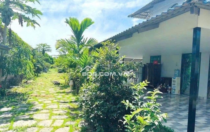 BÁN NHÀ CẤP 4 VƯỜN CÂY ĂN TRÁI 2500M2 SHR THỔ CƯ, NGAY KCN AN LINH GIÁ 650TR
