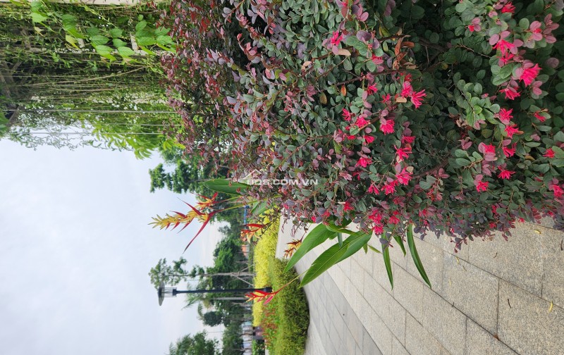 BÁN CẮT LỖ SÂU CĂN 1PN CT5 THE GLOBAL CITY VIEW NHẠC NƯỚC