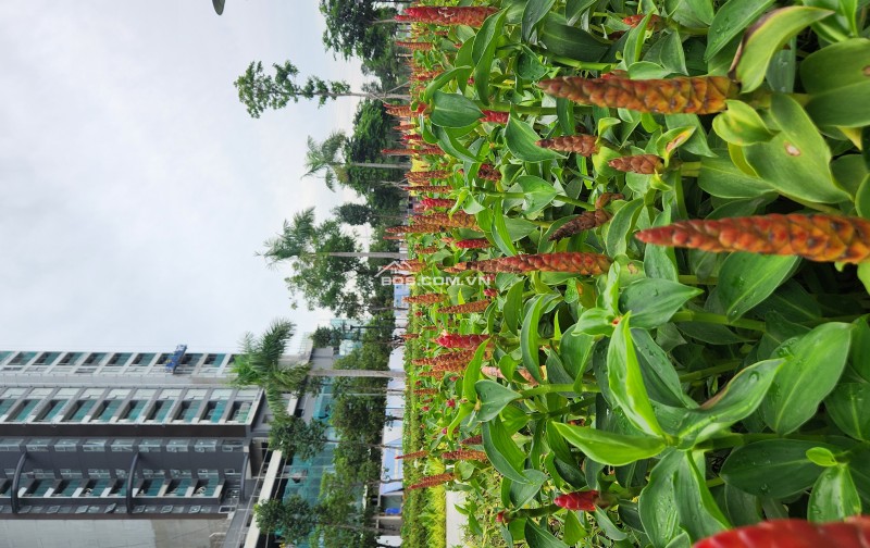 BÁN CẮT LỖ SÂU CĂN 1PN CT5 THE GLOBAL CITY VIEW NHẠC NƯỚC