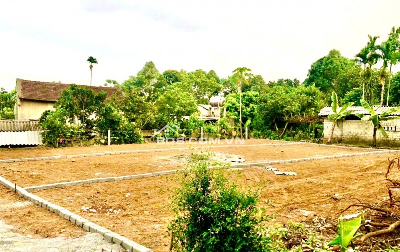 Bán đất Vọng Thủy, X.Thành Trực, H.Thạch Thành, Thanh Hóa. 158m2 ~ 300 triệu.