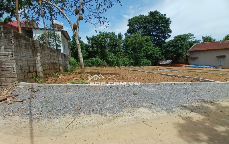 Bán đất Vân Tiến, X.Thành Mỹ, H.Thạch Thành, Thanh Hóa. 143m2 ~ 300 triệu.