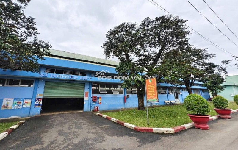 Cho thuê kho xưởng 1800m2 Trần Văn Dư, Tân Bình, TPHCM