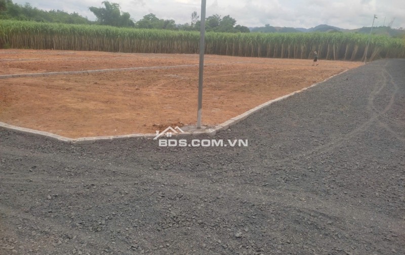 Bán đất Bình Sậy, X.Thạch Sơn, H.Thạch Thành, Thanh Hóa. 280m2 ~ 285 triệu.