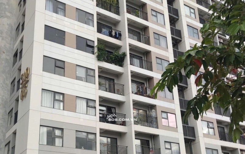 Chính chủ cần bán shophouse ngang 8m ngay Vinhomes Grand Park có thu nhập ngay chỉ 12 tỷ.
