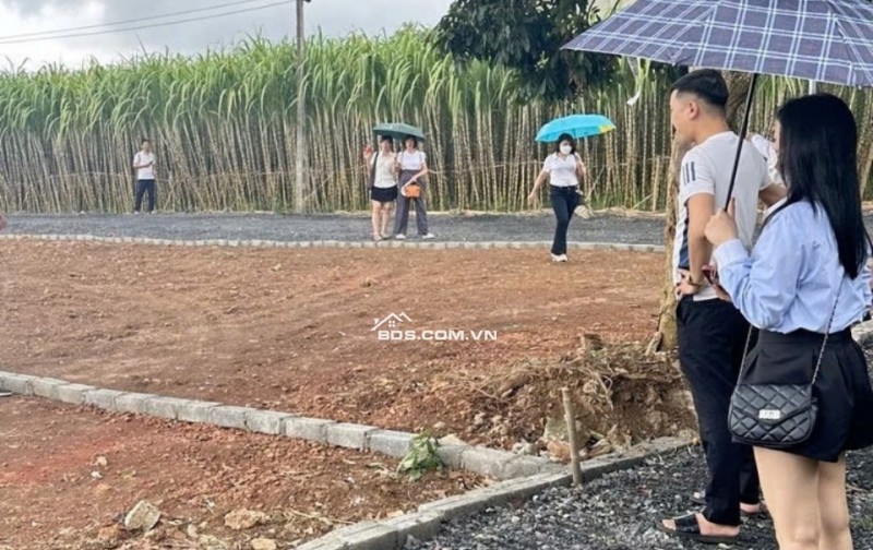 Bán đất Bình Sậy, X.Thạch Sơn, H.Thạch Thành, Thanh Hóa. 280m2 ~ 285 triệu.