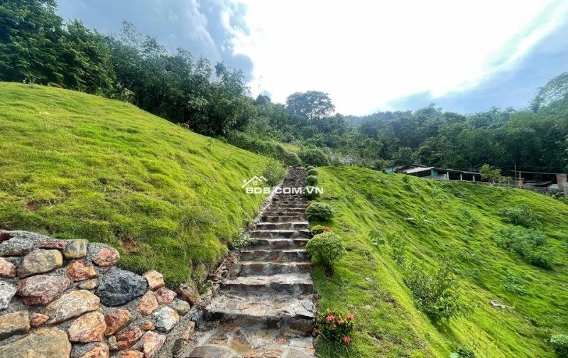 3343m2, full thổ cư, cách đường liên kết vùng chỉ 200m tại Đông Bắc, Kim Bôi