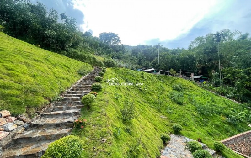3343m2, full thổ cư, cách đường liên kết vùng chỉ 200m tại Đông Bắc, Kim Bôi