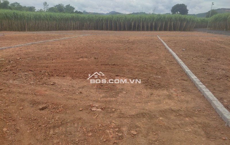 Bán đất Bình Sậy, X.Thạch Sơn, H.Thạch Thành, Thanh Hóa. 280m2 ~ 285 triệu.
