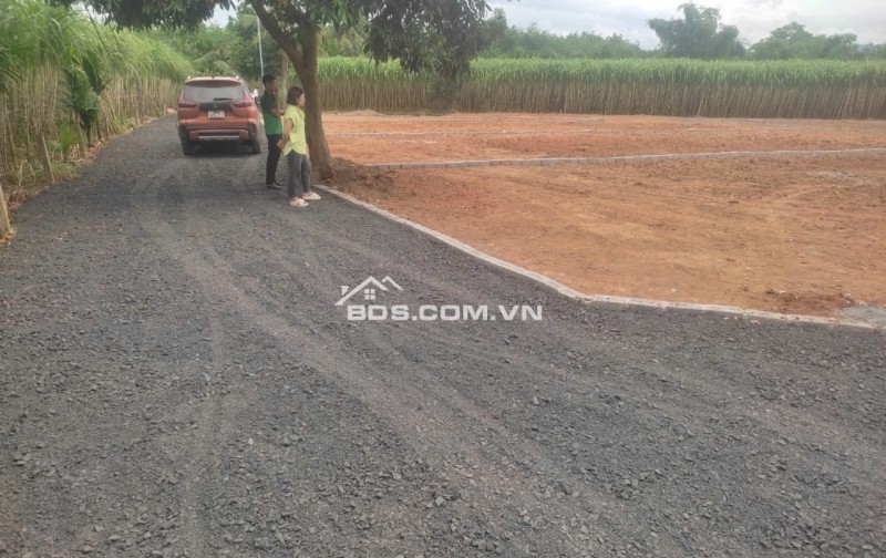 Bán đất Bình Sậy, X.Thạch Sơn, H.Thạch Thành, Thanh Hóa. 280m2 ~ 285 triệu.