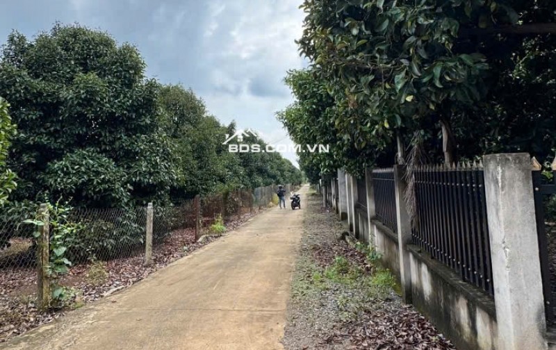 TÔI CHÍNH CHỦ CẦN TIỀN BÁN ĐẤT FULL THỔ CƯ PHÁT LÝ SẠCH GIÁ 775 TRIỆU CÓ THƯƠNG LƯỢNG