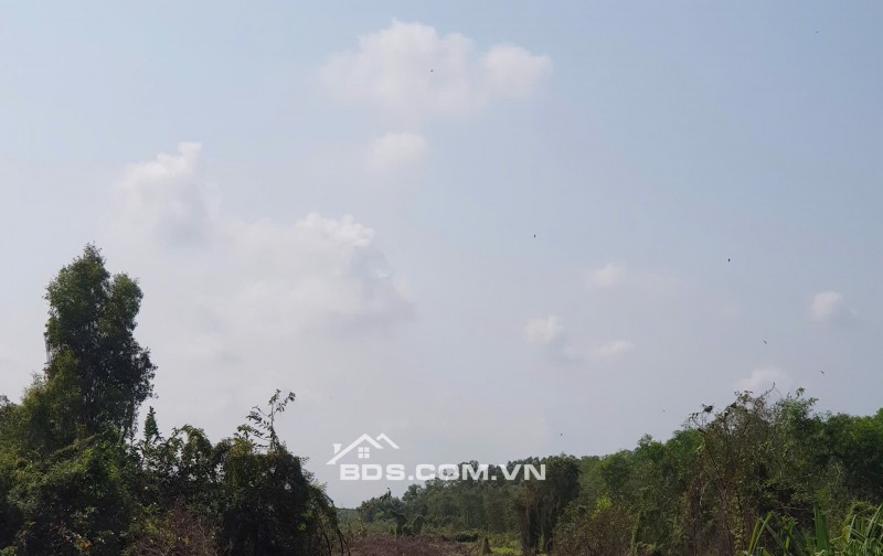 Bán đất mặt tiền thổ cư 1 phần Quốc lộ 62, xã Thạnh Hóa, tỉnh Tây Ninh