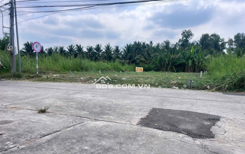 Bán đất thổ cư 312,2m2 đối diện UBND Sơn Đông thuận tiện kinh doanh