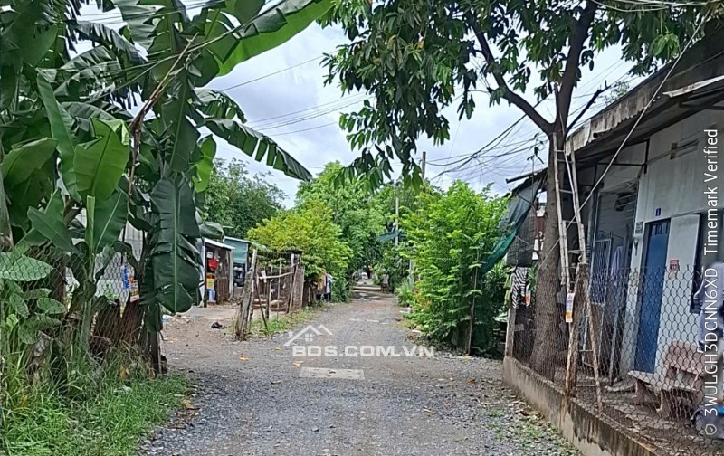 Bán đất hẻm ô tô đường Thới Hòa Vĩnh Lộc A Bình Chánh giá 9 tỷ