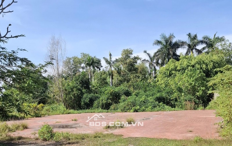 Bán đất đường 623 xã Phước Hiệp Huyện Củ Chi giá 170 tỷ