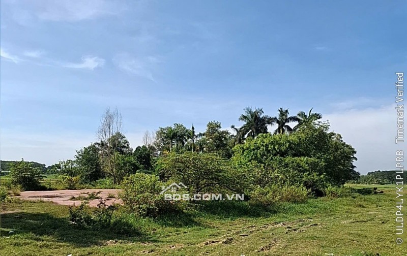 Bán đất đường 623 xã Phước Hiệp Huyện Củ Chi giá 170 tỷ