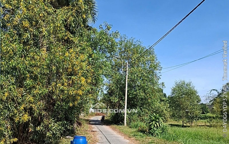 Bán đất đường 623 xã Phước Hiệp Huyện Củ Chi giá 170 tỷ