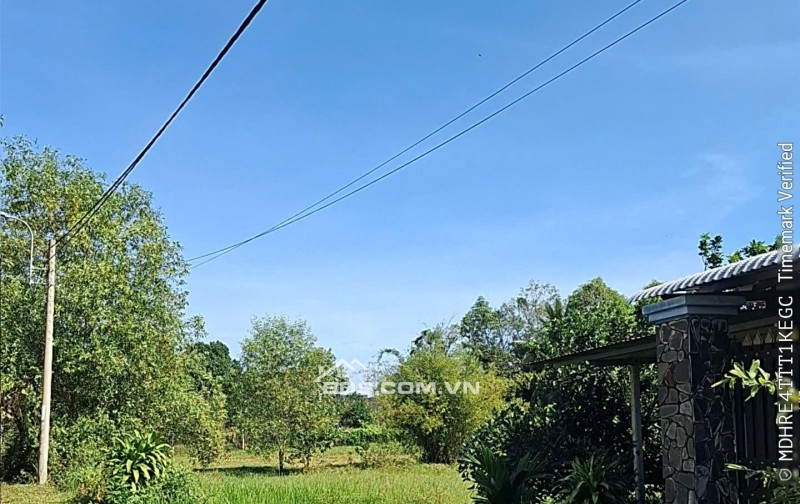 Bán đất đường 623 xã Phước Hiệp Huyện Củ Chi giá 170 tỷ