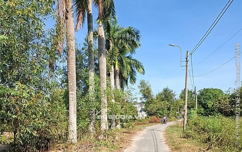 Bán đất đường 623 xã Phước Hiệp Huyện Củ Chi giá 170 tỷ