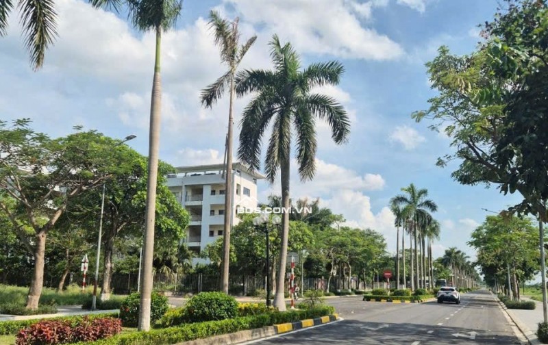 Cần tiền mua nhà Hà Nội bán gấp lol đất Viglcaera tbd 28 gần quy hoạch cảng cạn