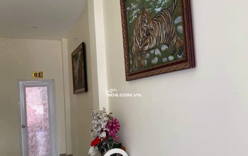 BÁN NHÀ NGHỈ DOANH THU HƠN 50 TRIỆU/THÁNG - HẺM ĐƯỜNG LẠC LONG QUÂN - THÀNH PHỐ THỦ DẦU 1 BÌNH DƯƠNG