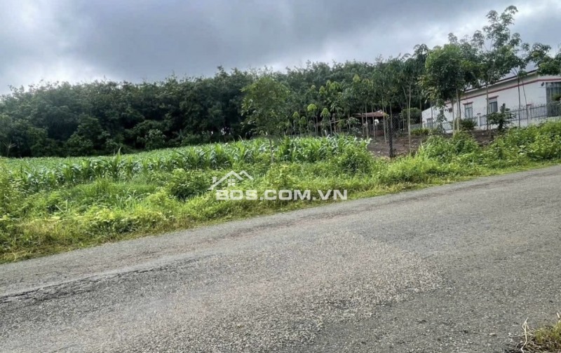 Em cần bán lô đất thổ cư mặt tiền nhựa . Diện tích 10.42 thổ cư 200m