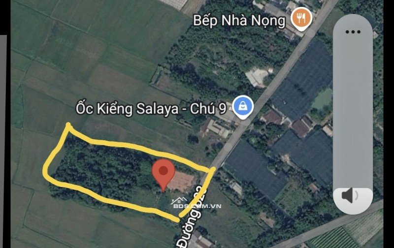 Bán đất đường 623 xã Phước Hiệp Huyện Củ Chi giá 170 tỷ