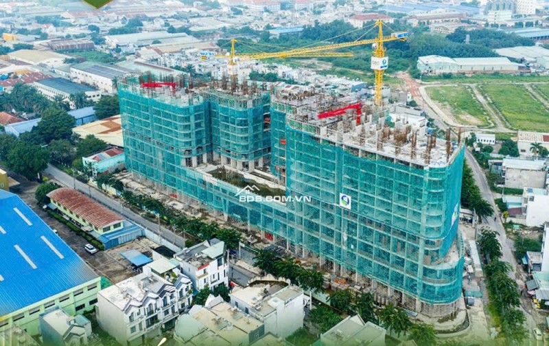Thứ 7 tuần này tại Nhà Mẫu OBC Holdings 