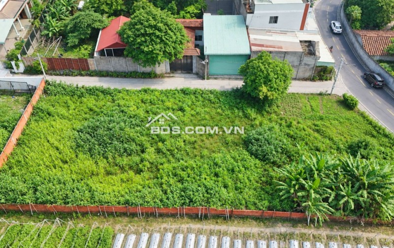 7 lô đất sổ riêng thổ cư P. Tân Phước Khánh Tân Uyên 1.75 tỷ/106m2