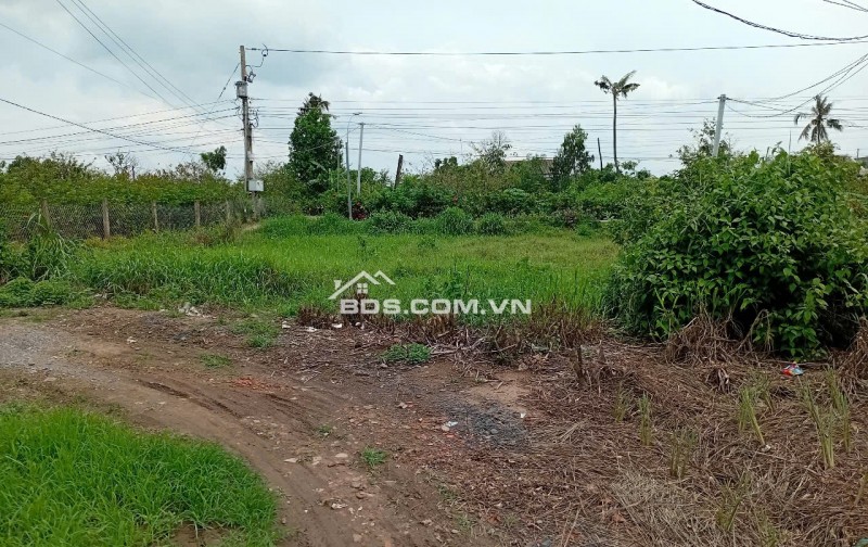 Chính chủ bán đất 563m² có 160m² thổ cư, đường ô tô tại xã Tân Phú, Tân Phú Đông
