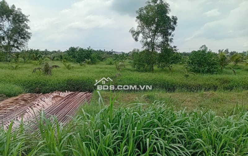 Bán Đất Thổ Cư Đẹp Giá Rẻ Tại Tiền Giang Chỉ 630tr Có ngay 563m2