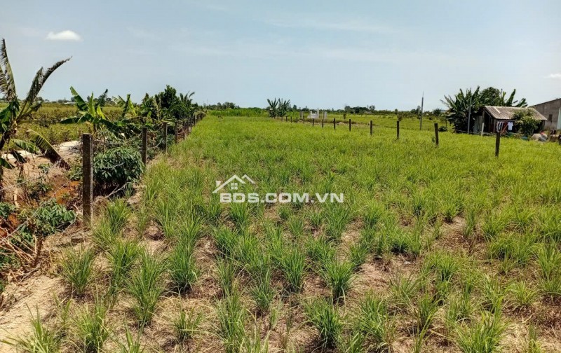 Chính chủ bán đất Thổ Cư mặt tiền đường Cả Thu giá rẻ